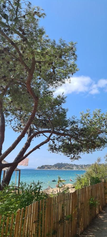 Le Tamaya Plage Charmant T2 En Rez De Jardin A 2 Pas D Une Belle Plage De Toutes Commodites Et Centre Ville Port Cavalaire-sur-Mer Buitenkant foto